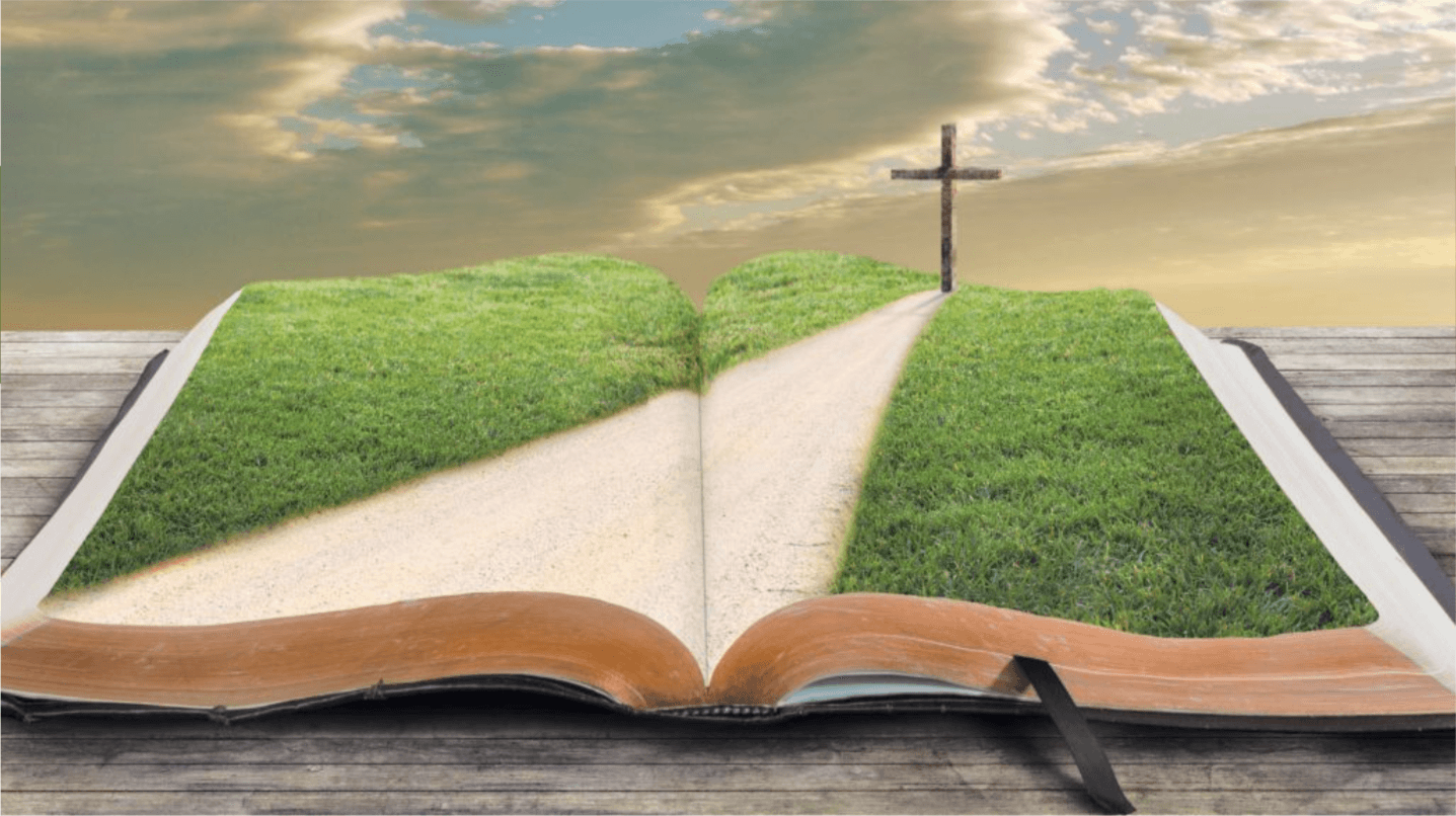 What is the Value of a Kingdom Education?