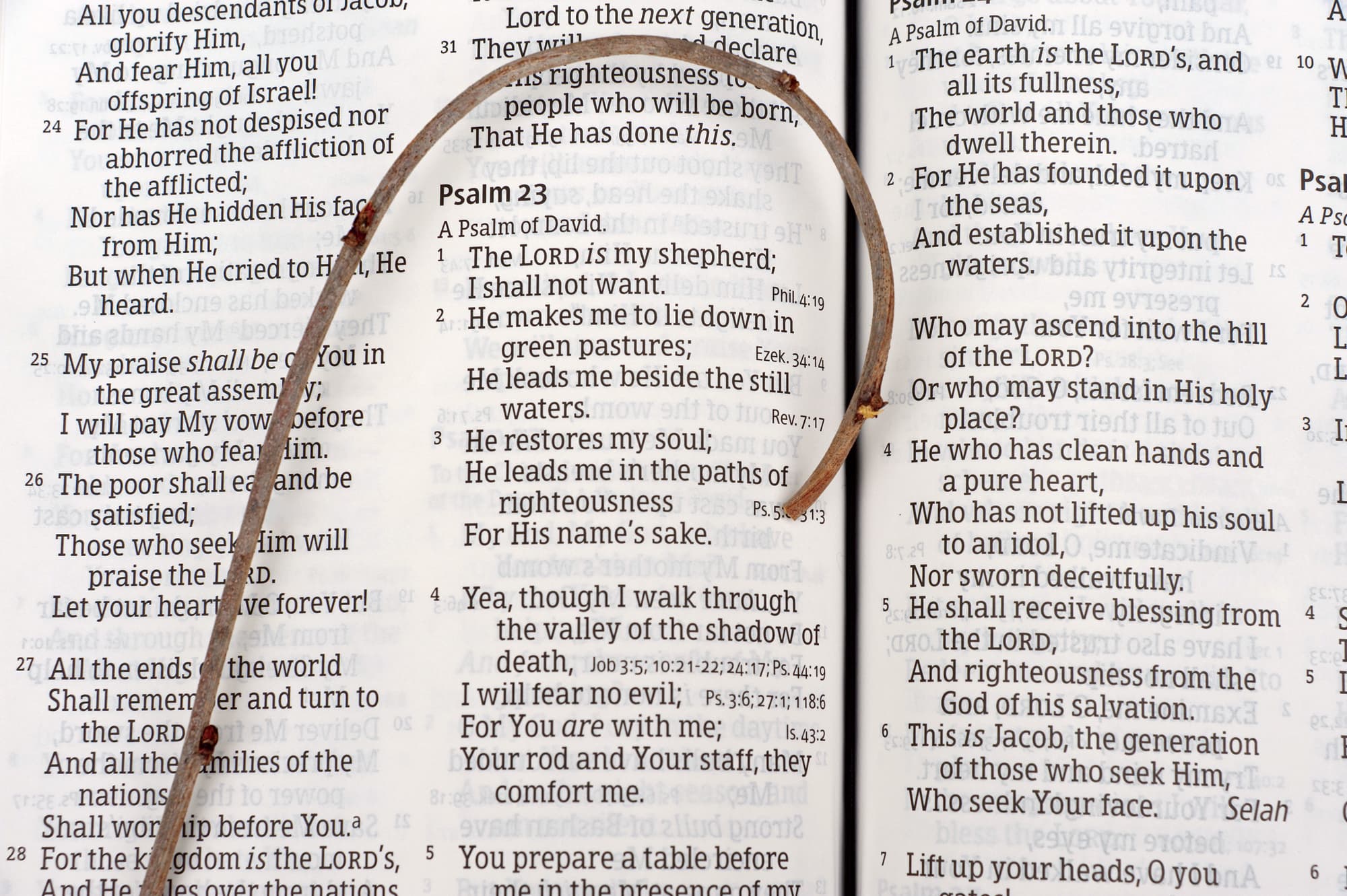 More Good Shepherds Needed: Exploring the Five Functions of a Shepherd Leader
