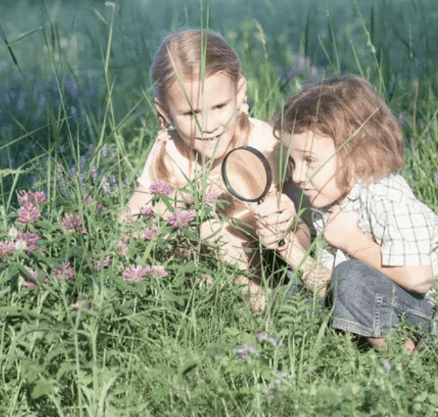 Helping Our Kids Unplug from Technology and Engage with God’s Creation