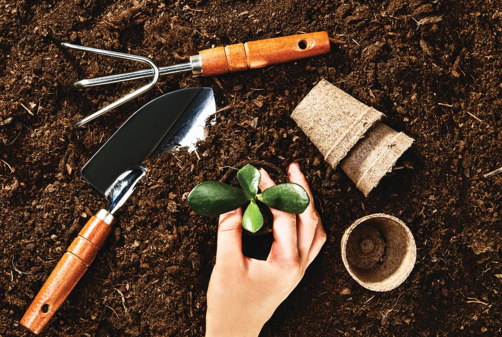 Cultivating Christian Character and Conscience