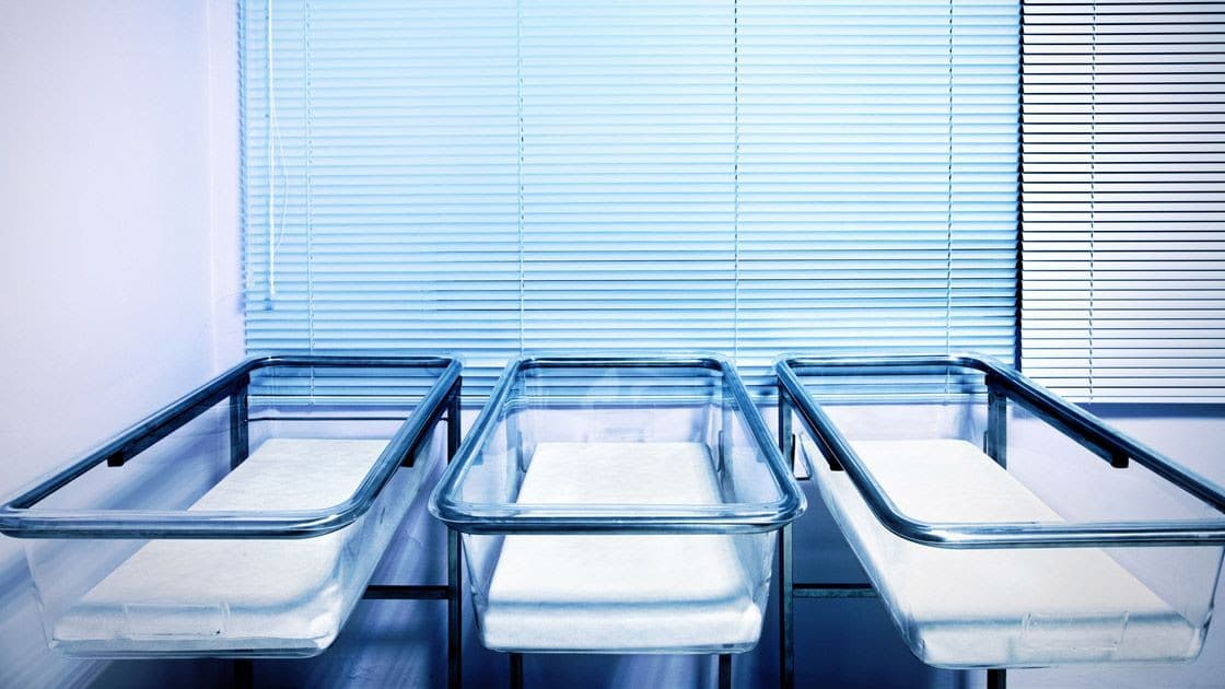 The Birth Rate is Falling. But Why?