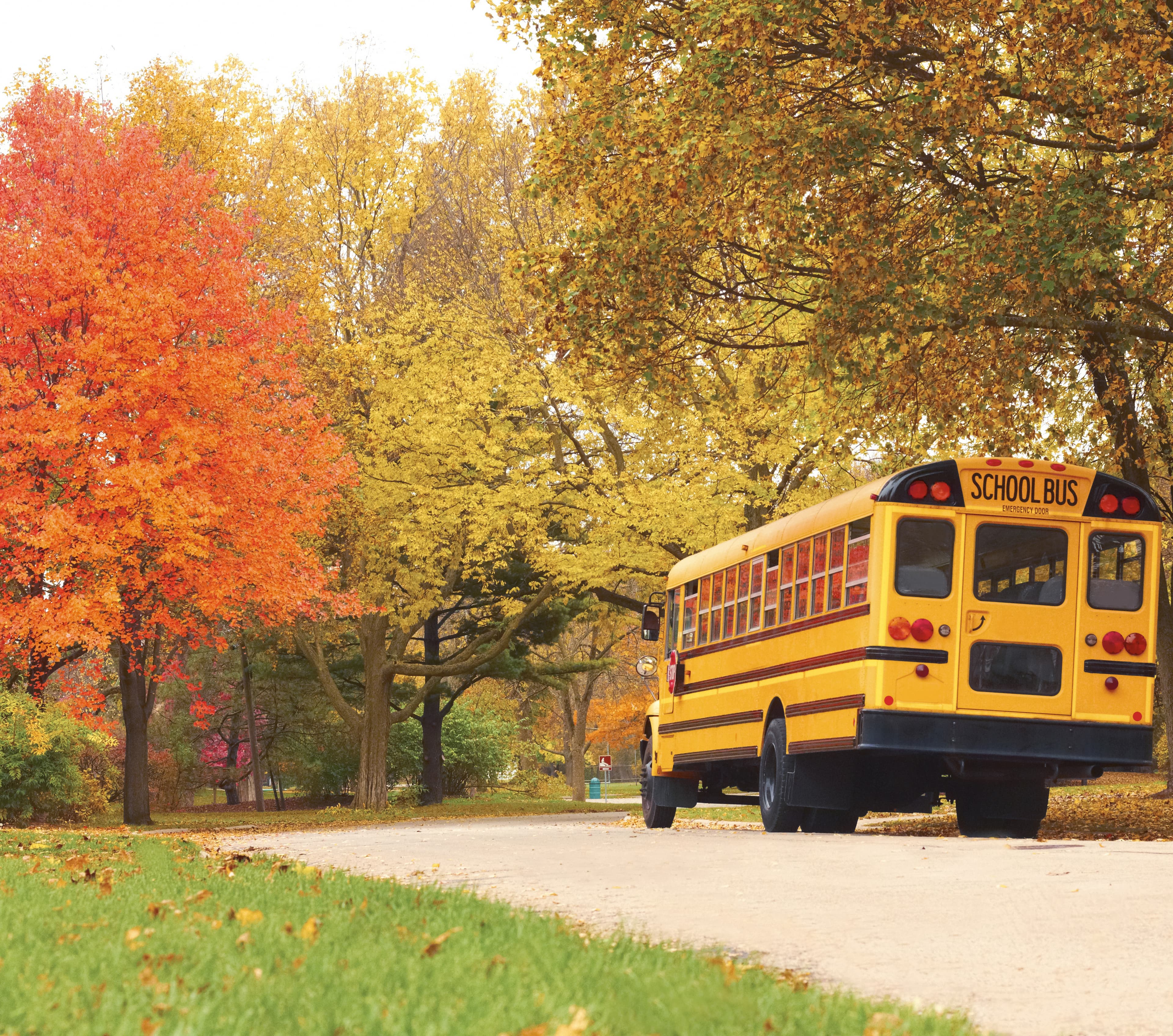 Public Schools Now Open to Religion