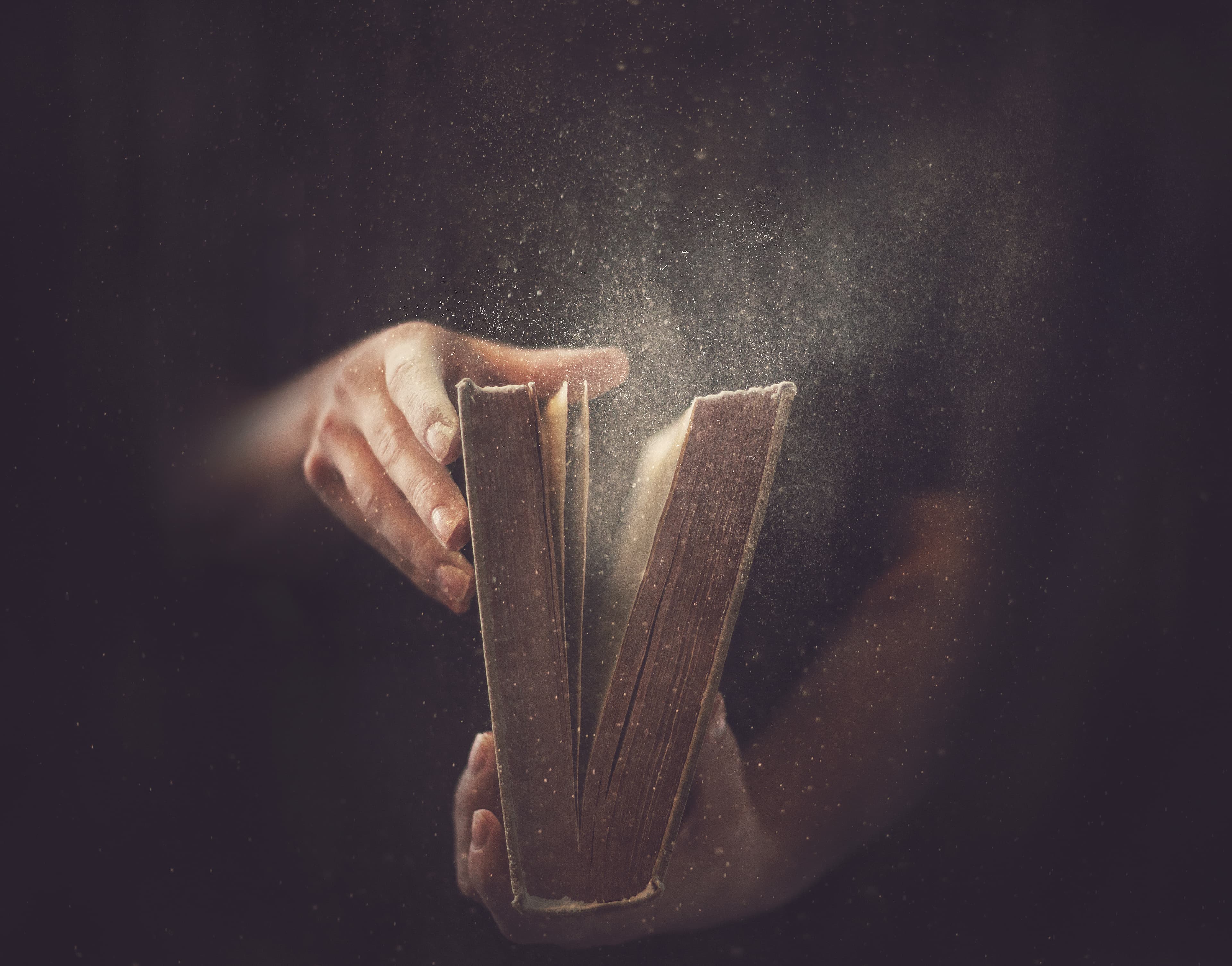 Examining the World Through the Light of Scripture