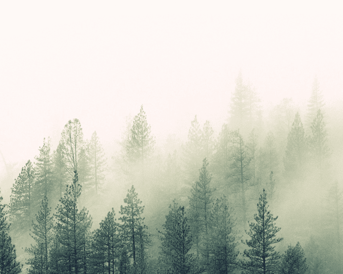 The Power and Purpose of Camp