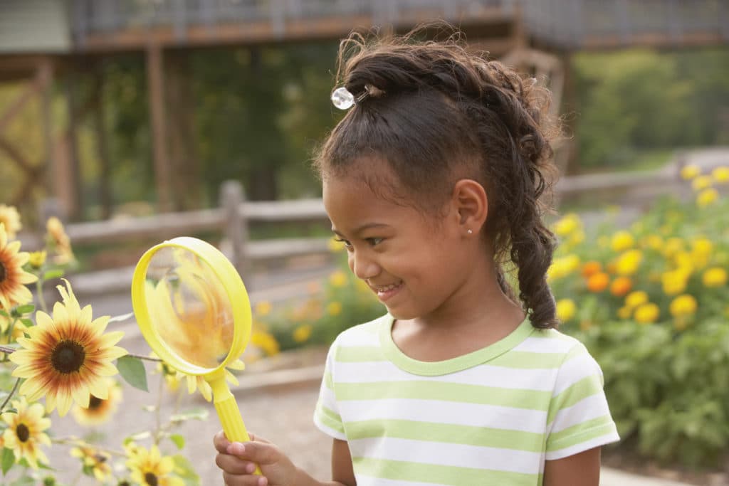 Seven Tips for Curious Learning