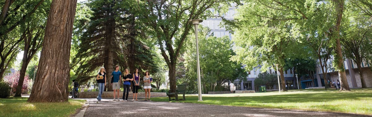 The Tragedy of American Higher Education